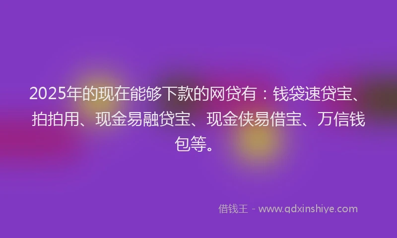 2025年的现在能够下款的网贷有：钱袋速贷宝、拍拍用、现金易融贷宝、现金侠易借宝、万信钱包等。