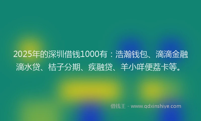 2025年的深圳借钱1000有：浩瀚钱包、滴滴金融滴水贷、桔子分期、疾融贷、羊小咩便荔卡等。