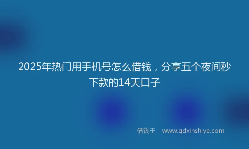 2025年热门用手机号怎么借钱，分享五个夜间秒下款的14天口子