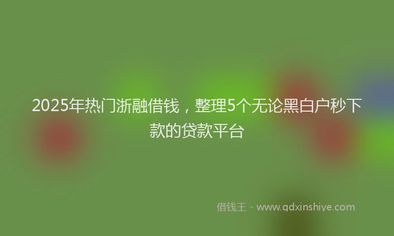 2025年热门浙融借钱，整理5个无论黑白户秒下款的贷款平台
