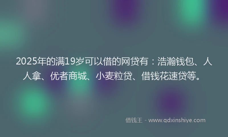 2025年的满19岁可以借的网贷有：浩瀚钱包、人人拿、优者商城、小麦粒贷、借钱花速贷等。