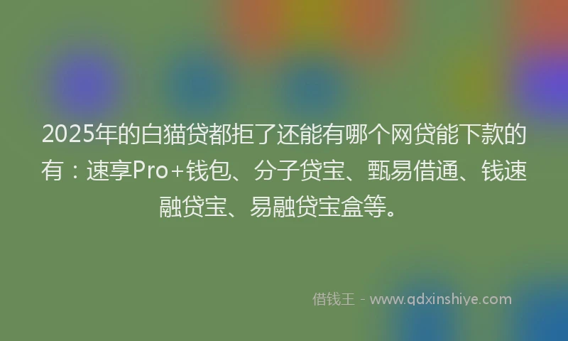 2025年的白猫贷都拒了还能有哪个网贷能下款的有：速享Pro+钱包、分子贷宝、甄易借通、钱速融贷宝、易融贷宝盒等。
