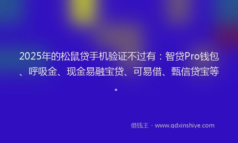 2025年的松鼠贷手机验证不过有：智贷Pro钱包、呼吸金、现金易融宝贷、可易借、甄信贷宝等。