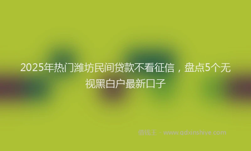 2025年热门潍坊民间贷款不看征信，盘点5个无视黑白户最新口子