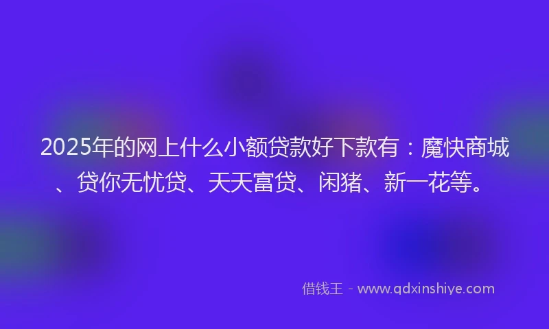2025年的网上什么小额贷款好下款有：魔快商城、贷你无忧贷、天天富贷、闲猪、新一花等。