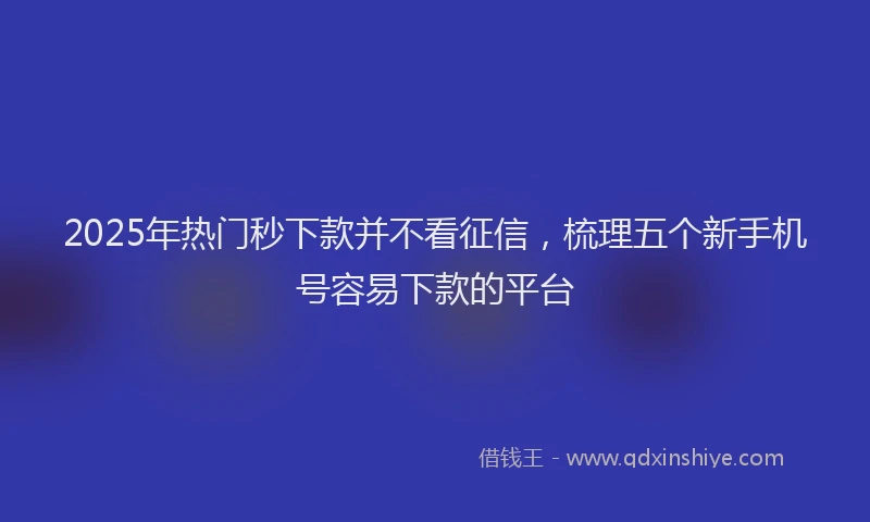 2025年热门秒下款并不看征信，梳理五个新手机号容易下款的平台