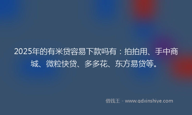 2025年的有米贷容易下款吗有：拍拍用、手中商城、微粒快贷、多多花、东方易贷等。