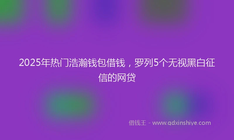 2025年热门浩瀚钱包借钱，罗列5个无视黑白征信的网贷