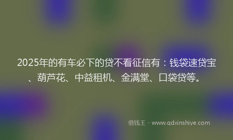 2025年的有车必下的贷不看征信有：钱袋速贷宝、葫芦花、中益租机、金满堂、口袋贷等。