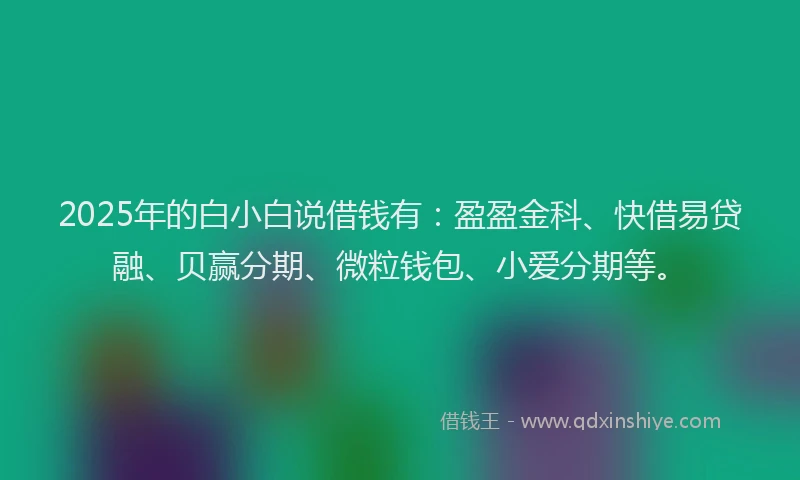 2025年的白小白说借钱有：盈盈金科、快借易贷融、贝赢分期、微粒钱包、小爱分期等。
