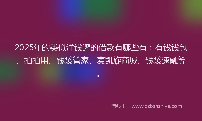 2025年的类似洋钱罐的借款有哪些有：有钱钱包、拍拍用、钱袋管家、麦凯旋商城、钱袋速融等。