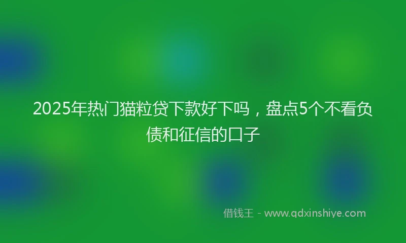 2025年热门猫粒贷下款好下吗，盘点5个不看负债和征信的口子