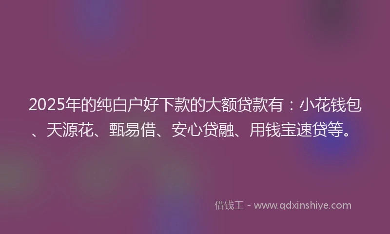 2025年的纯白户好下款的大额贷款有：小花钱包、天源花、甄易借、安心贷融、用钱宝速贷等。
