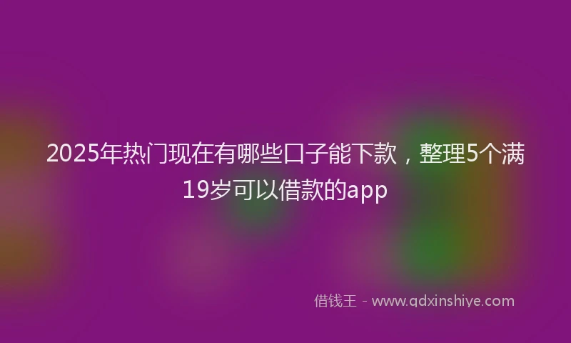 2025年热门现在有哪些口子能下款，整理5个满19岁可以借款的app