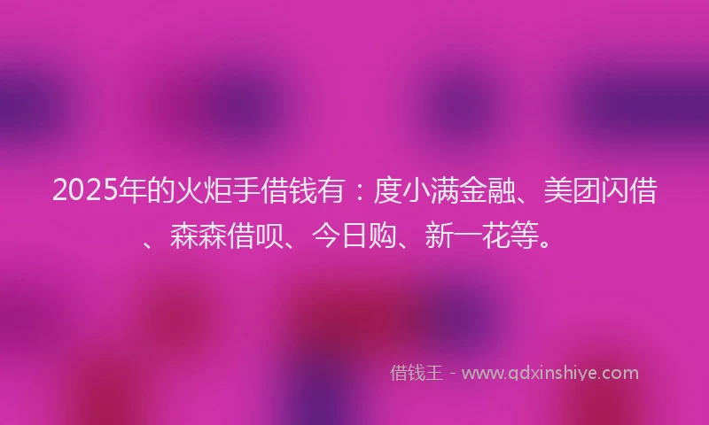 2025年的火炬手借钱有：度小满金融、美团闪借、森森借呗、今日购、新一花等。
