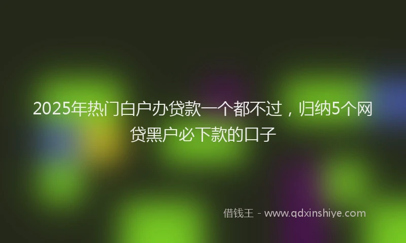 2025年热门白户办贷款一个都不过，归纳5个网贷黑户必下款的口子