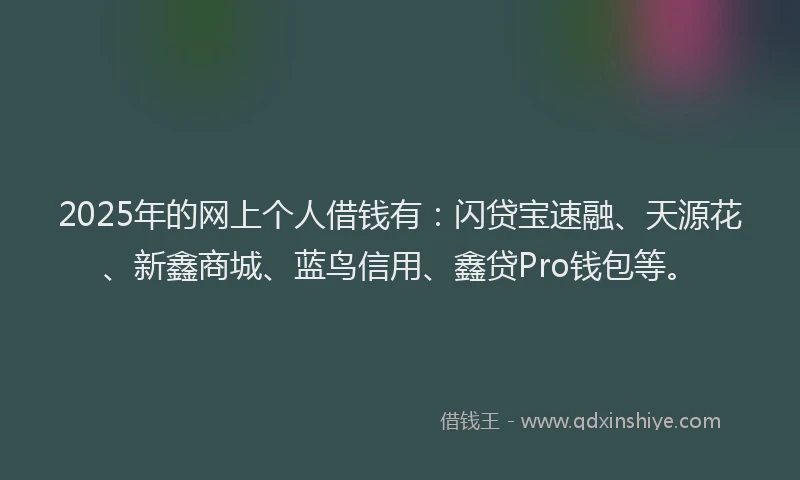 2025年的网上个人借钱有：闪贷宝速融、天源花、新鑫商城、蓝鸟信用、鑫贷Pro钱包等。