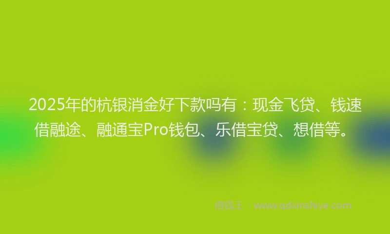 2025年的杭银消金好下款吗有：现金飞贷、钱速借融途、融通宝Pro钱包、乐借宝贷、想借等。