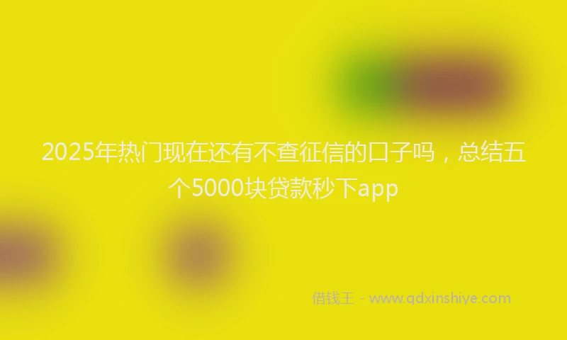 2025年热门现在还有不查征信的口子吗，总结五个5000块贷款秒下app
