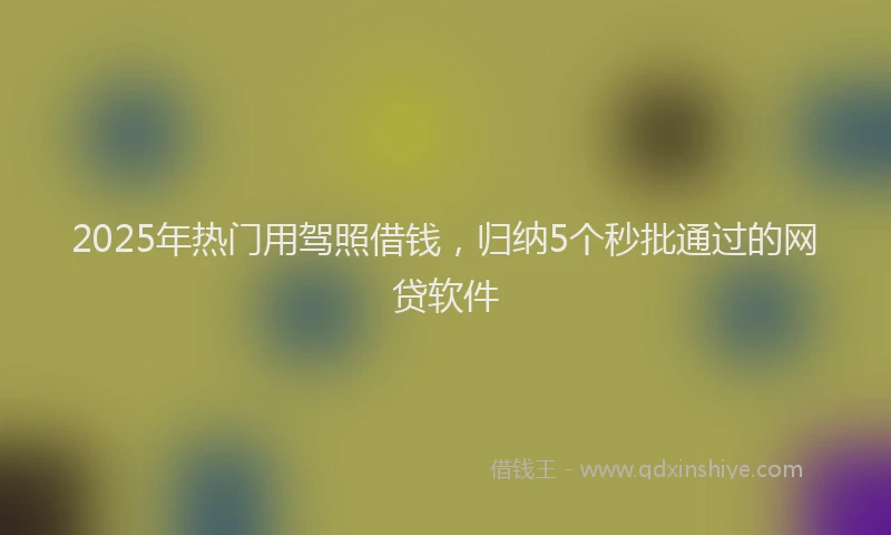 2025年热门用驾照借钱，归纳5个秒批通过的网贷软件