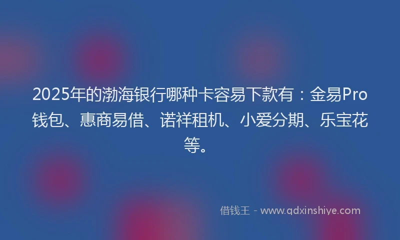 2025年的渤海银行哪种卡容易下款有：金易Pro钱包、惠商易借、诺祥租机、小爱分期、乐宝花等。