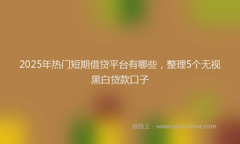2025年热门短期借贷平台有哪些，整理5个无视黑白贷款口子