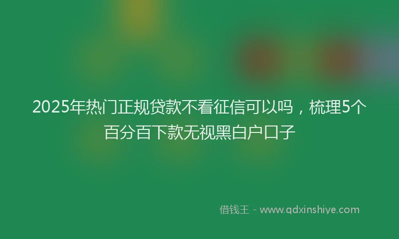 2025年热门正规贷款不看征信可以吗，梳理5个百分百下款无视黑白户口子
