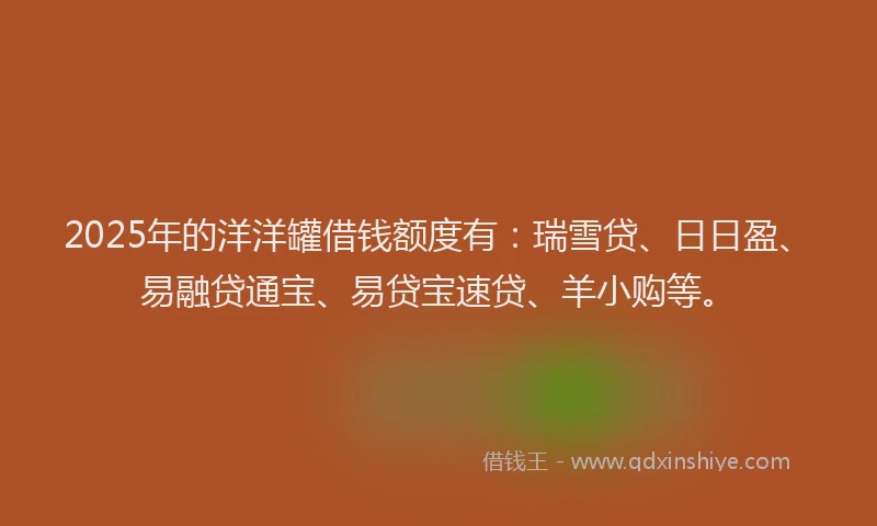 2025年的洋洋罐借钱额度有：瑞雪贷、日日盈、易融贷通宝、易贷宝速贷、羊小购等。