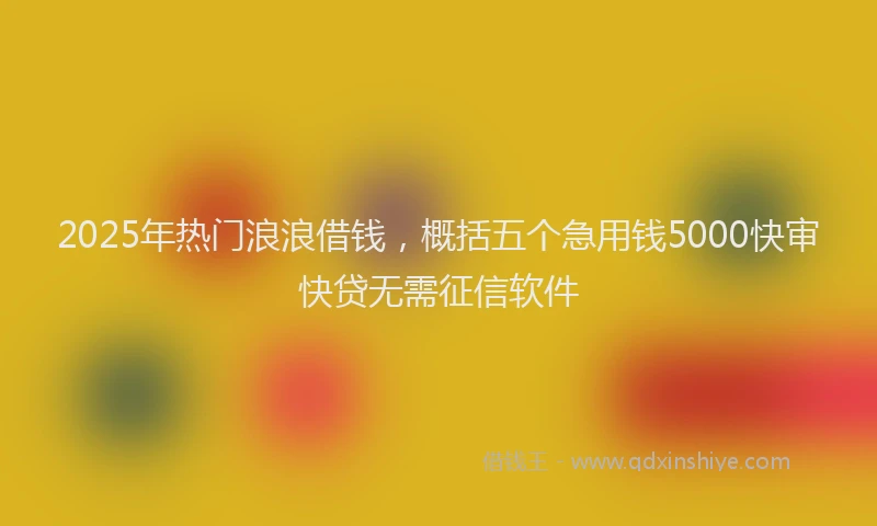 2025年热门浪浪借钱，概括五个急用钱5000快审快贷无需征信软件