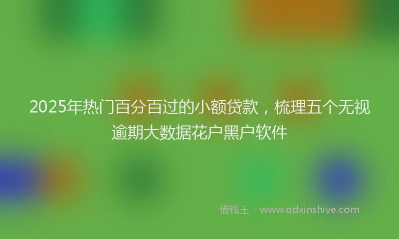 2025年热门百分百过的小额贷款，梳理五个无视逾期大数据花户黑户软件