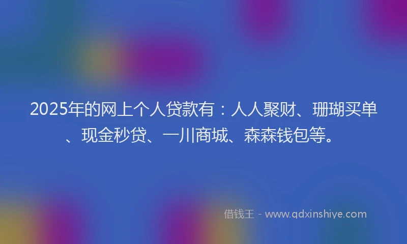 2025年的网上个人贷款有：人人聚财、珊瑚买单、现金秒贷、一川商城、森森钱包等。