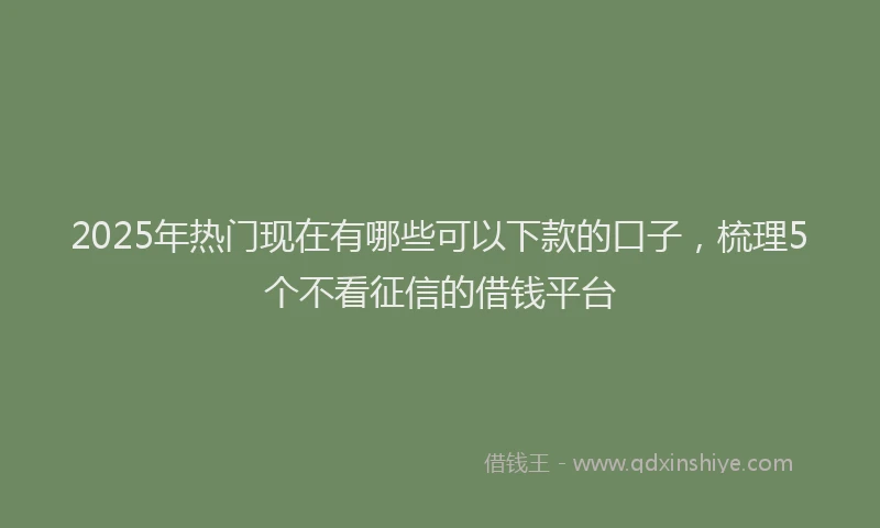 2025年热门现在有哪些可以下款的口子，梳理5个不看征信的借钱平台