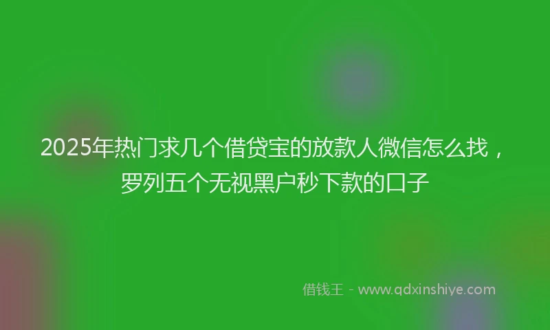 2025年热门求几个借贷宝的放款人微信怎么找，罗列五个无视黑户秒下款的口子