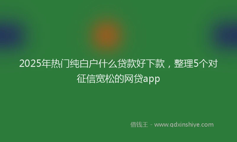 2025年热门纯白户什么贷款好下款，整理5个对征信宽松的网贷app