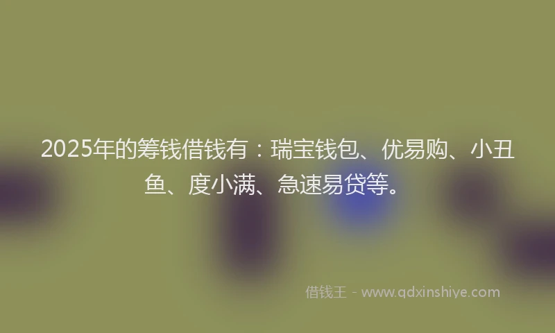 2025年的筹钱借钱有：瑞宝钱包、优易购、小丑鱼、度小满、急速易贷等。