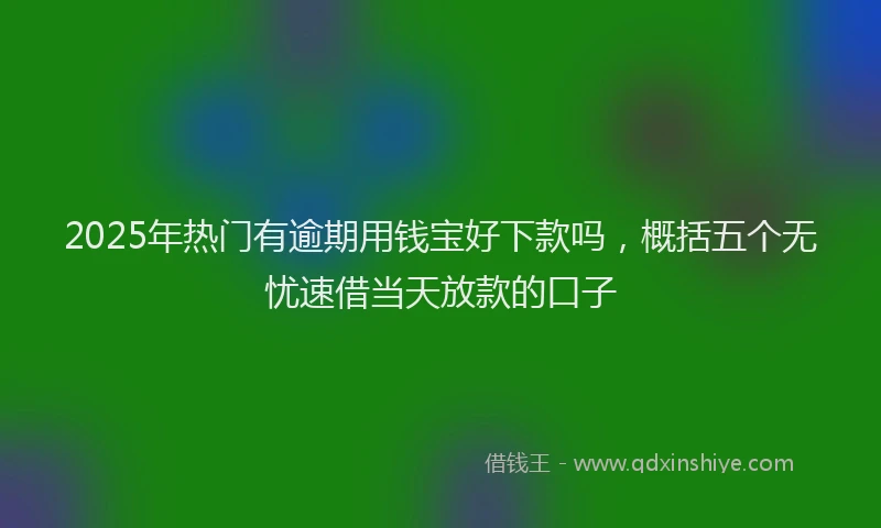 2025年热门有逾期用钱宝好下款吗，概括五个无忧速借当天放款的口子