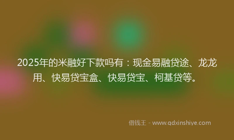 2025年的米融好下款吗有：现金易融贷途、龙龙用、快易贷宝盒、快易贷宝、柯基贷等。