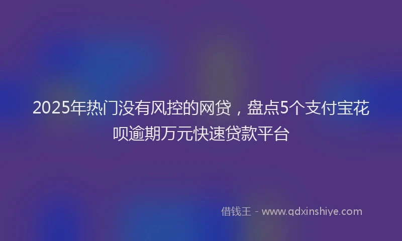 2025年热门没有风控的网贷，盘点5个支付宝花呗逾期万元快速贷款平台