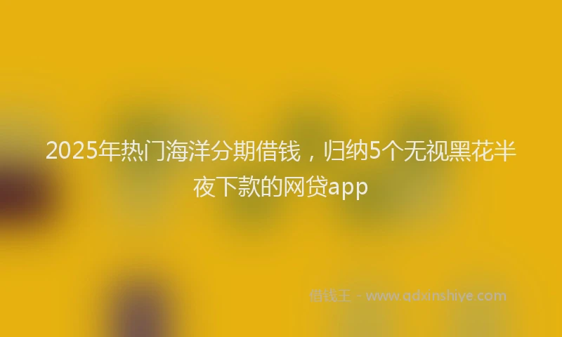 2025年热门海洋分期借钱，归纳5个无视黑花半夜下款的网贷app