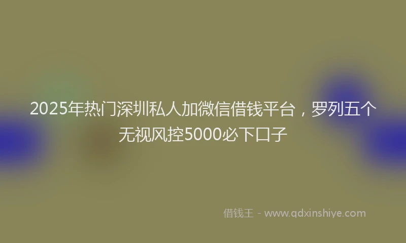 2025年热门深圳私人加微信借钱平台，罗列五个无视风控5000必下口子