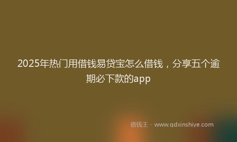 2025年热门用借钱易贷宝怎么借钱，分享五个逾期必下款的app