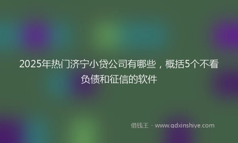 2025年热门济宁小贷公司有哪些，概括5个不看负债和征信的软件