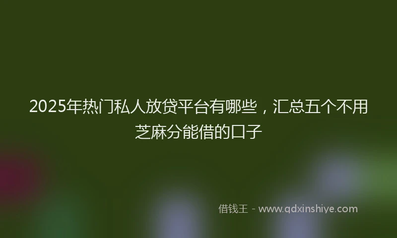 2025年热门私人放贷平台有哪些，汇总五个不用芝麻分能借的口子
