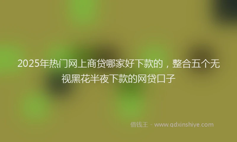 2025年热门网上商贷哪家好下款的，整合五个无视黑花半夜下款的网贷口子