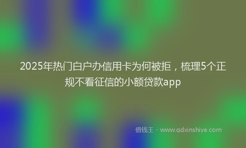 2025年热门白户办信用卡为何被拒，梳理5个正规不看征信的小额贷款app