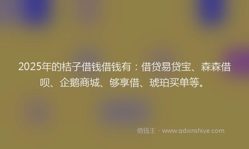 2025年的桔子借钱借钱有：借贷易贷宝、森森借呗、企鹅商城、够享借、琥珀买单等。