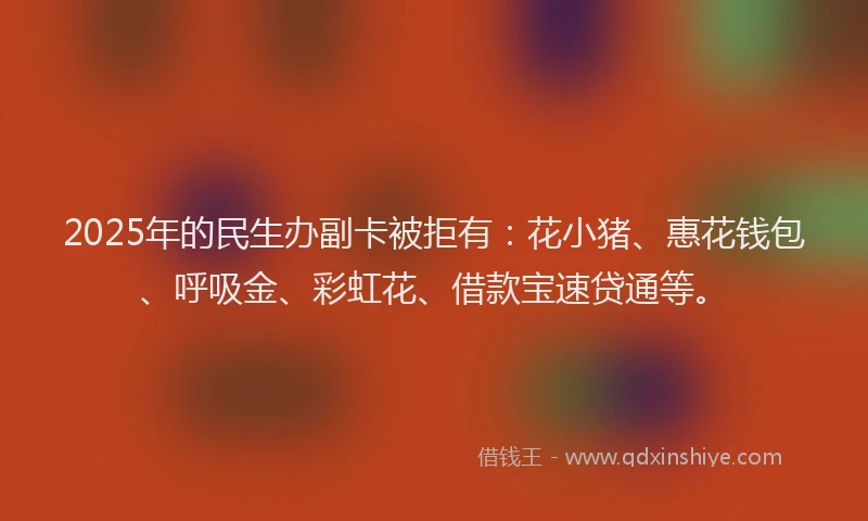 2025年的民生办副卡被拒有：花小猪、惠花钱包、呼吸金、彩虹花、借款宝速贷通等。