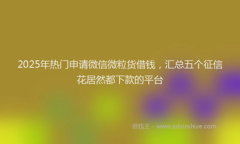 2025年热门申请微信微粒货借钱，汇总五个征信花居然都下款的平台