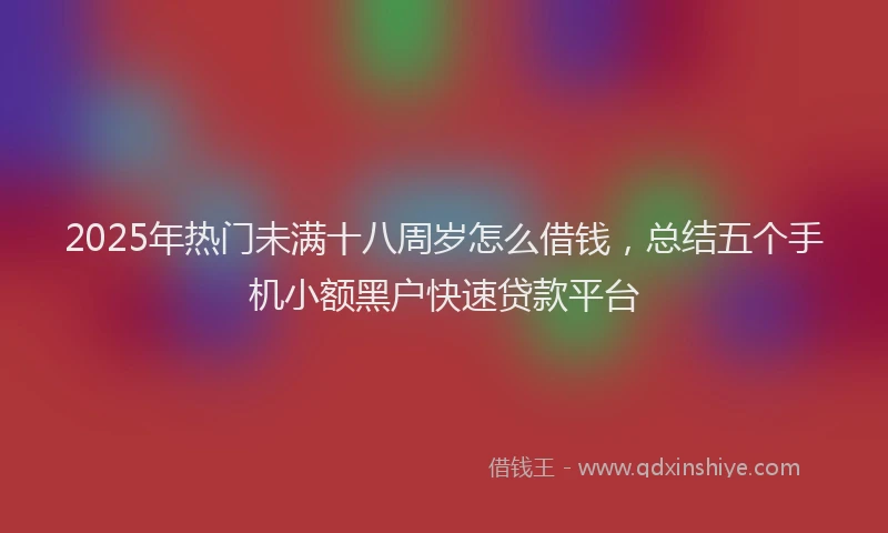 2025年热门未满十八周岁怎么借钱，总结五个手机小额黑户快速贷款平台