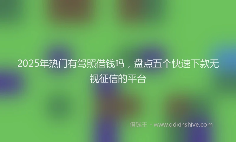 2025年热门有驾照借钱吗，盘点五个快速下款无视征信的平台
